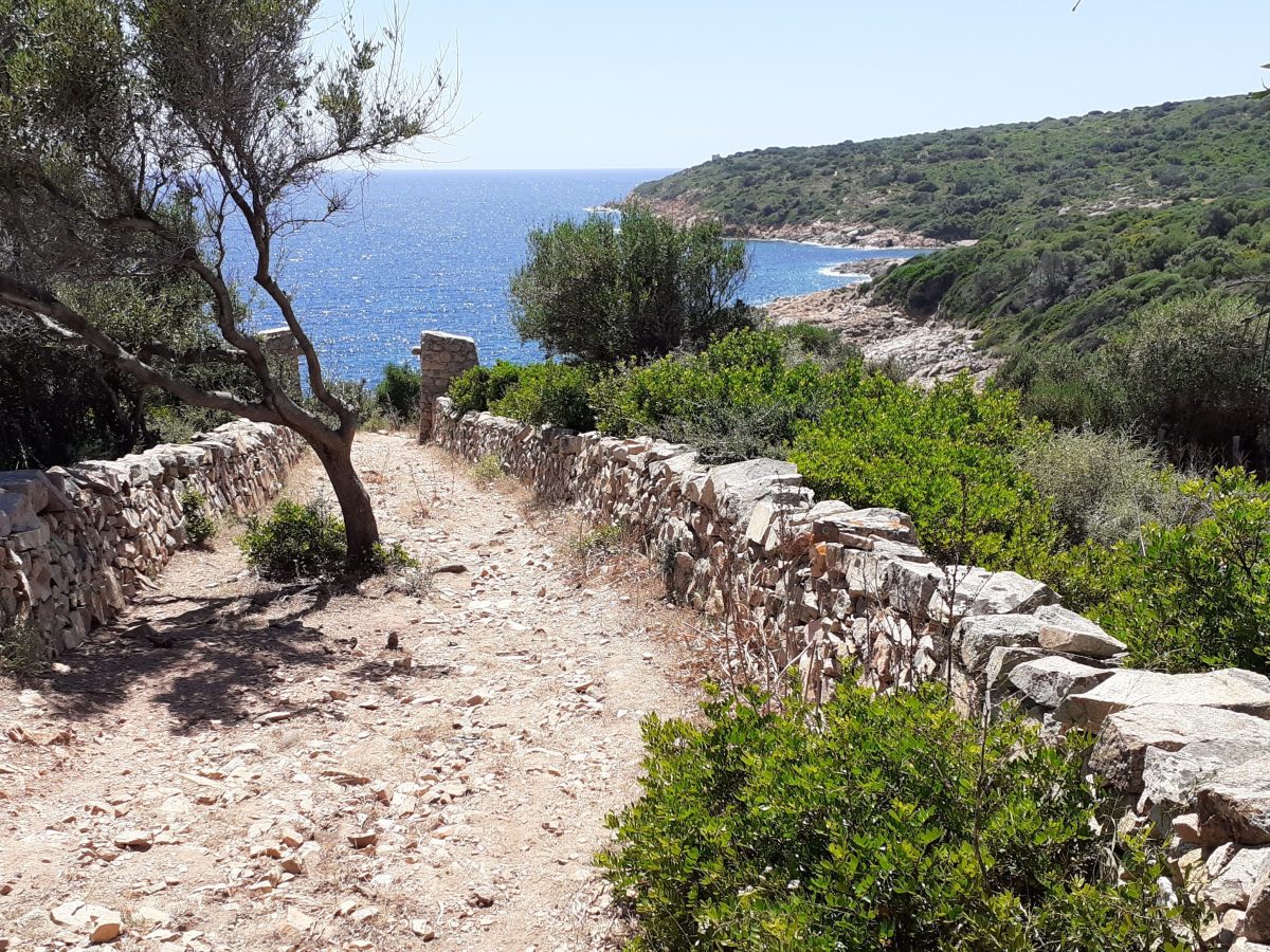 Tour d’Ominga, Cargese