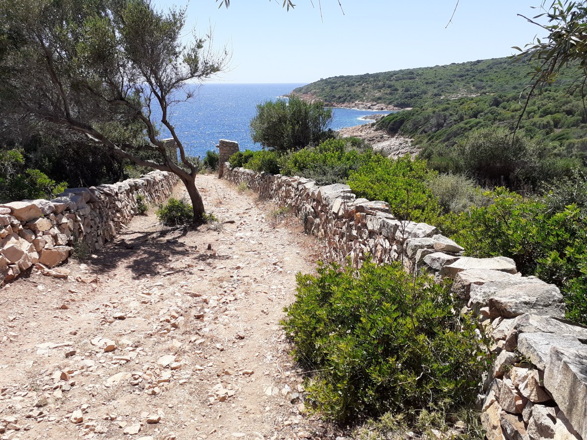 Tour d’Ominga, Cargese