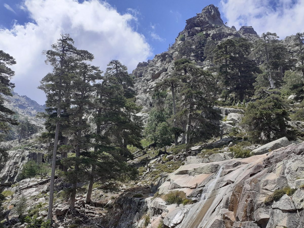 Vallée du Golu,&nbsp;Vergio