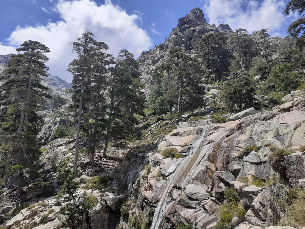 Vallée du Golu,&nbsp;Vergio