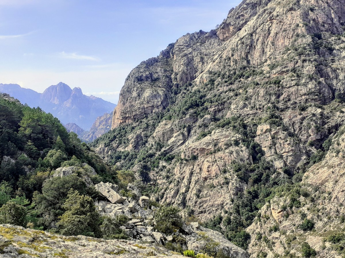 Foret d’Aitone, Evisa