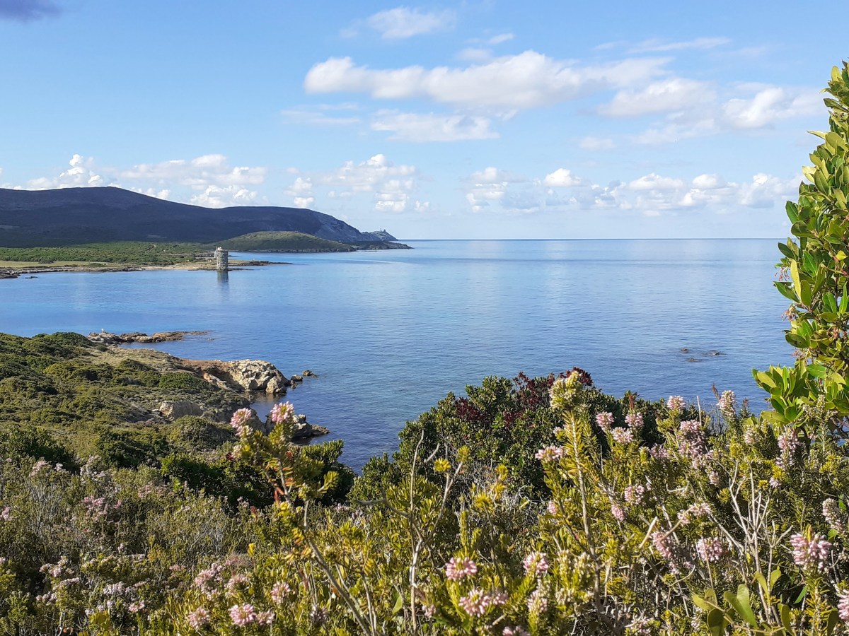 Sentier des Douaniers,&nbsp;Maccinaggio