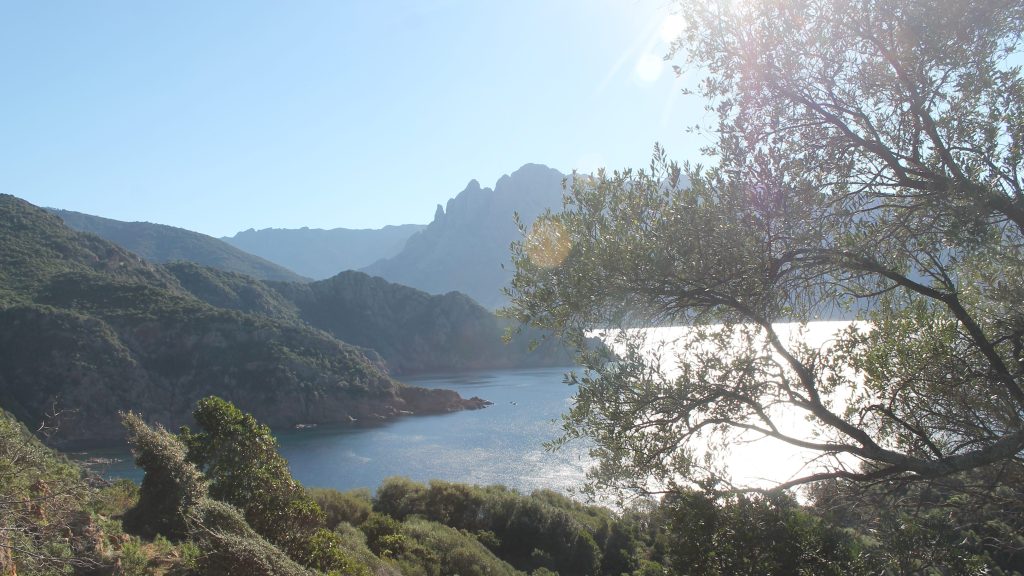 Col de la Croix to Bussaghia, Osani /&nbsp;Porto