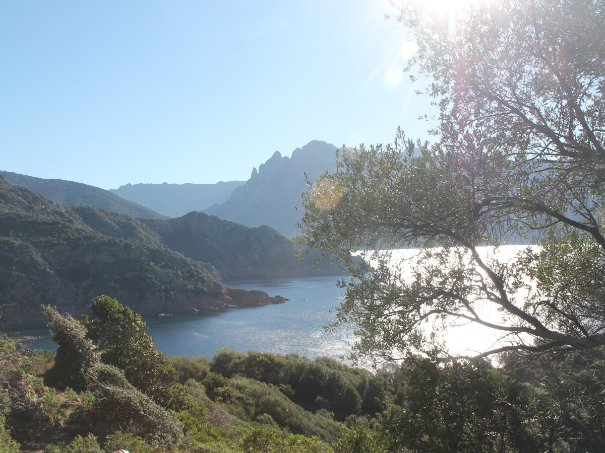 Col de la Croix to Bussaghia, Osani /&nbsp;Porto
