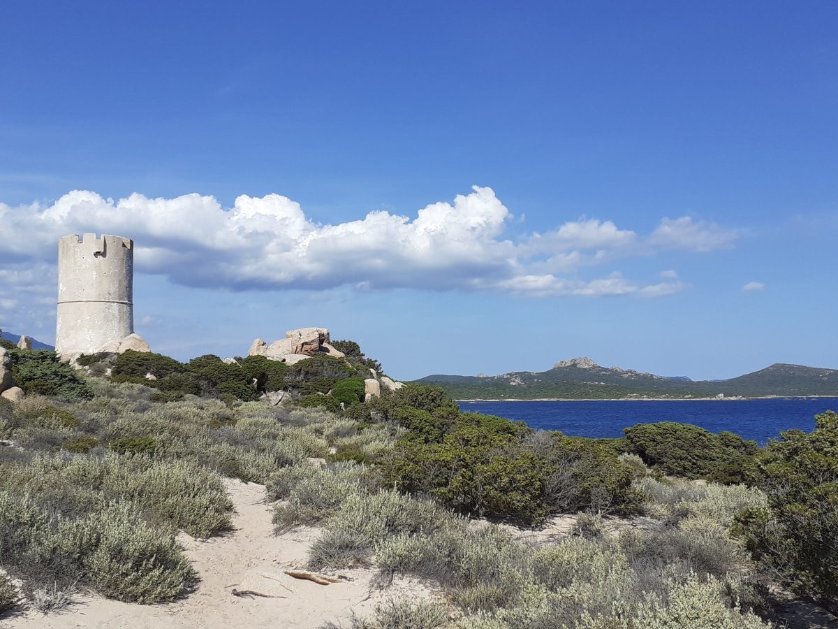 Tour d’Olmeto to Roccapina, Monacia d’Aullène /&nbsp;Sartene