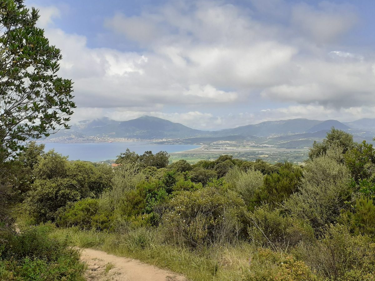 Tour de Frassu,&nbsp;Porticcio