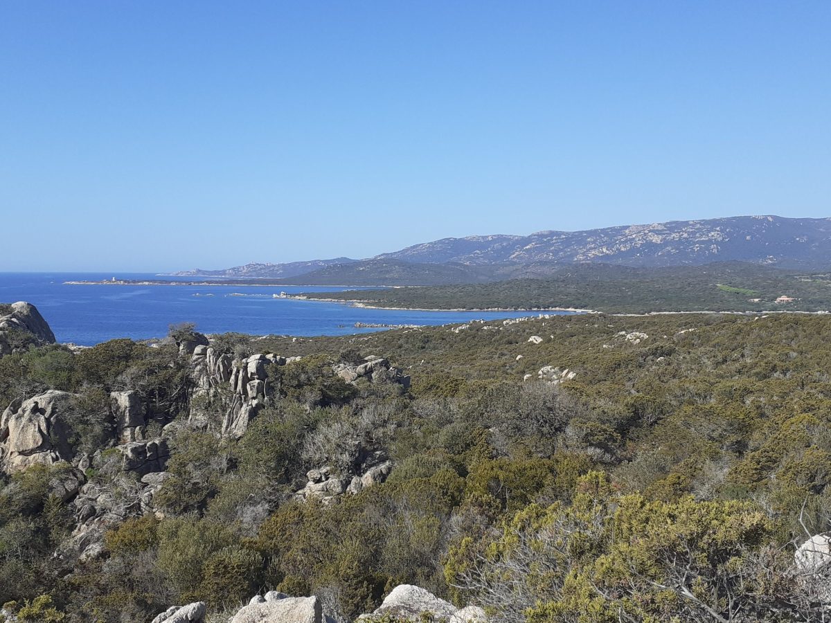 Les Bruzzi, Pianotolli-Caldarello