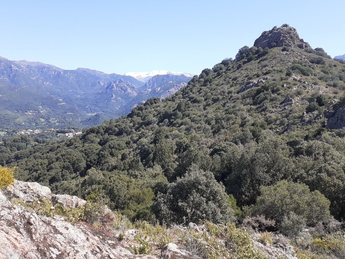 La Rocca & L’Arche de Cauro,&nbsp;Cauro