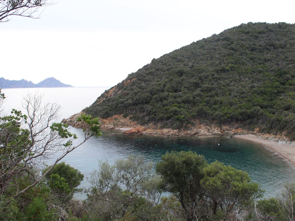 Plage de Gradelle, Osani, to Plage de Caspiu,&nbsp;Partinello