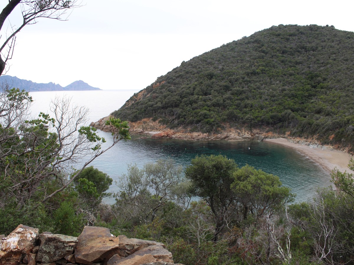 Plage de Gradelle, Osani, to Plage de Caspiu,&nbsp;Partinello