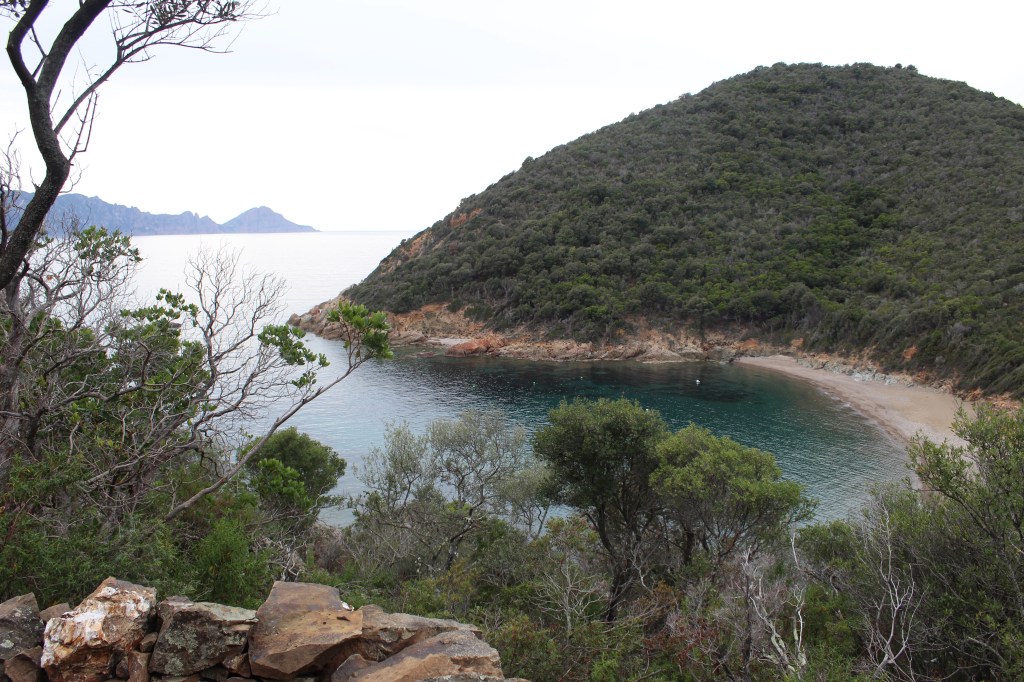 Plage de Gradelle, Osani, to Plage de Caspiu,&nbsp;Partinello