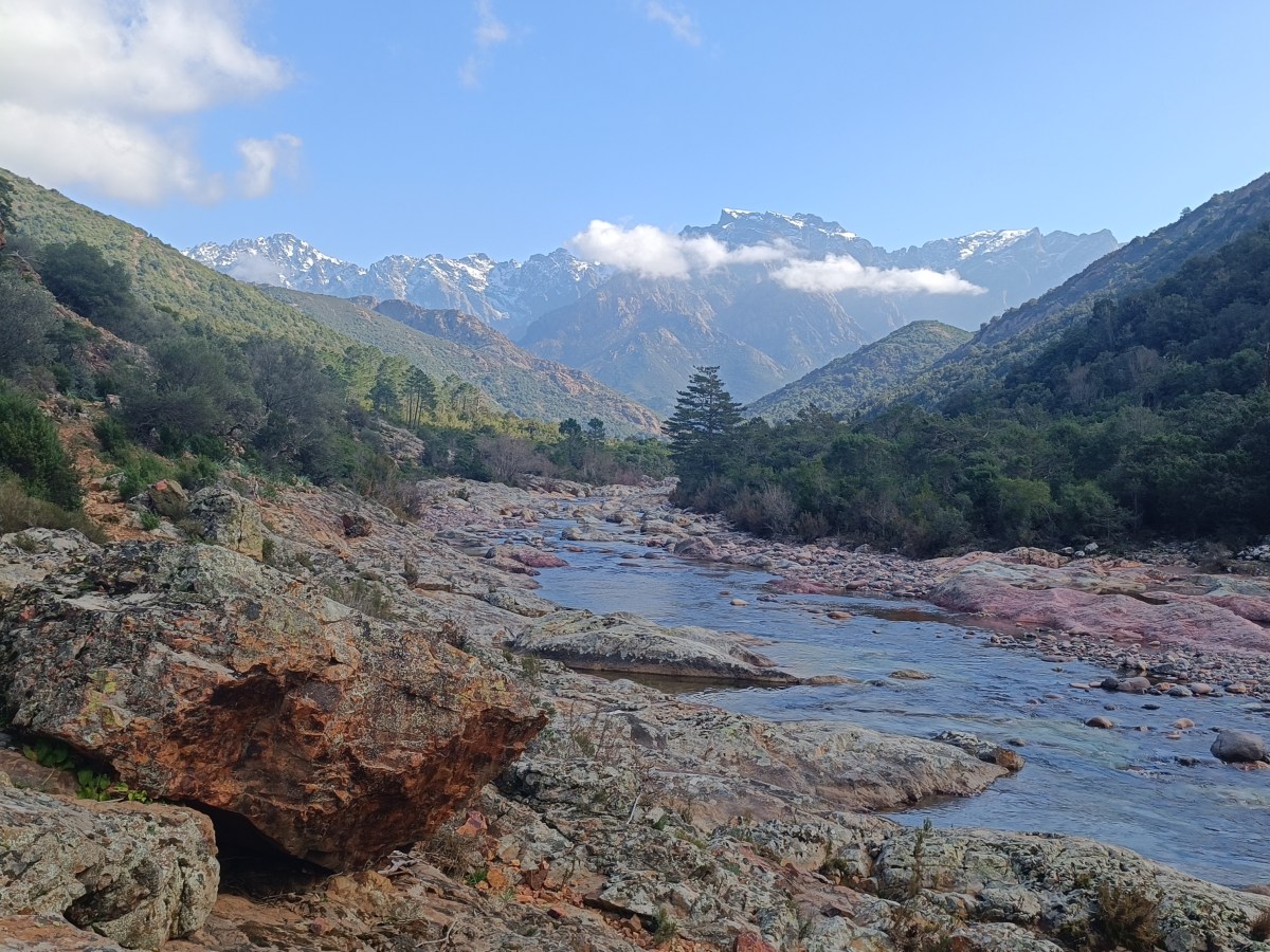 Prunniciale, Tuarelli