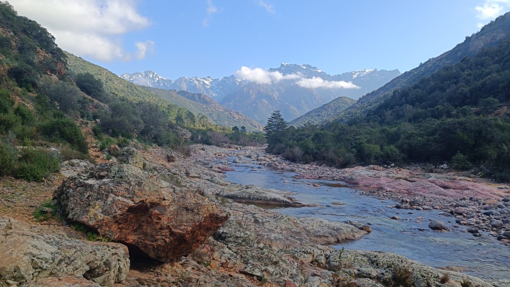 Prunniciale, Tuarelli