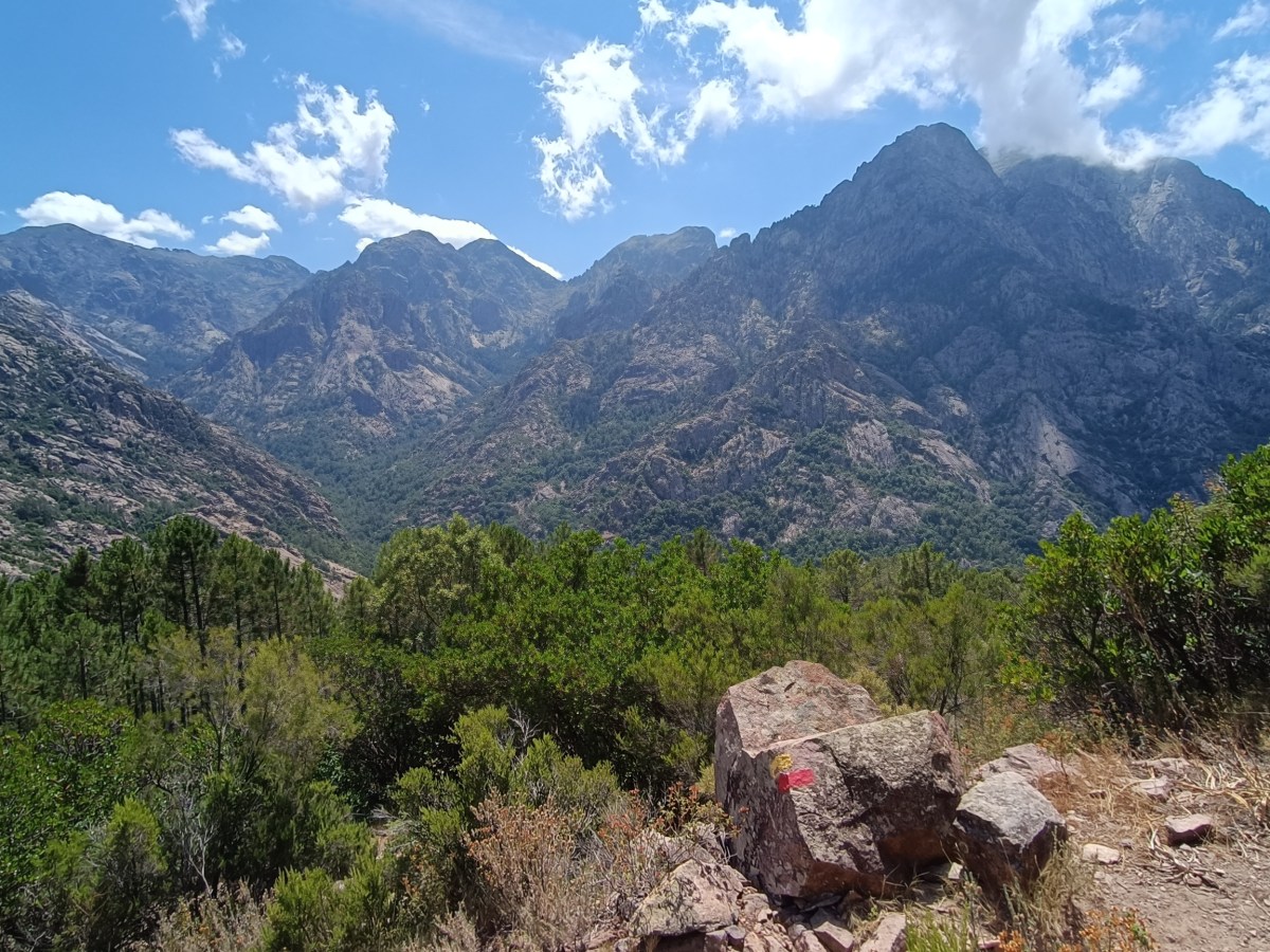 Bocca Finnochi, Bonifatu