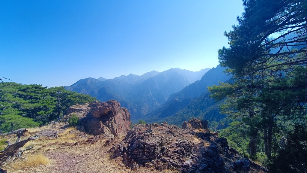 Bocca Bonassa, Bonifatu